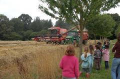 Moisson du ble